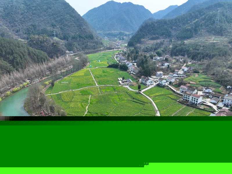 春天里的中国丨汉中勉县：油菜花海醉游人(图3)