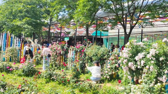 南宫NG28官网赏花踏青来肥东好玩(图11)