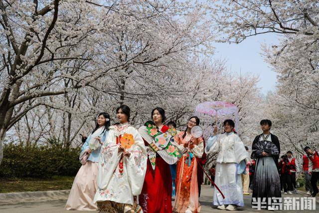 南宫NG28下载2025“花开西海岸”春风漫游季暨“樱乐满楼·春日绮境”张家楼画美达尼青岛市乡村振兴片区第二届樱花节启幕(图2)