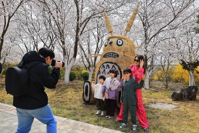 青岛这届樱花节首日迎来逾2万市民游客(图5)