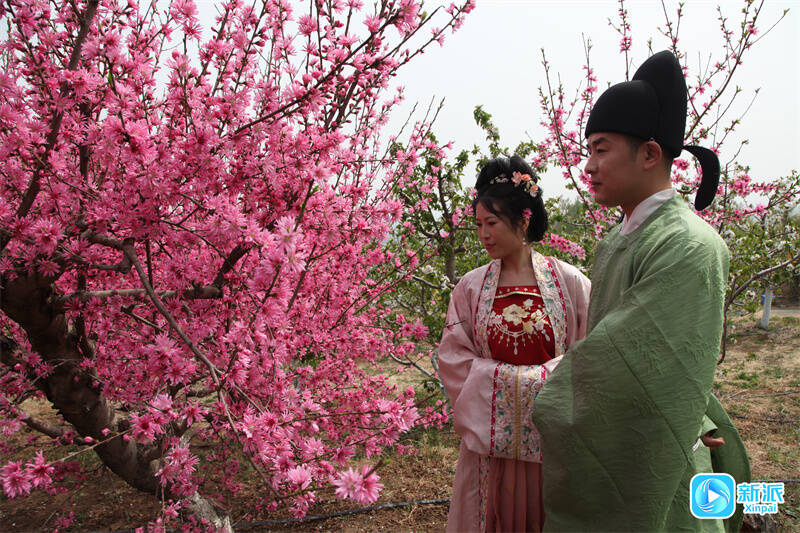 百花开喜迎游客来(图3)