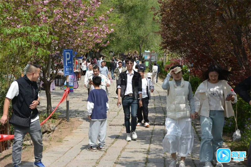 百花开喜迎游客来(图2)