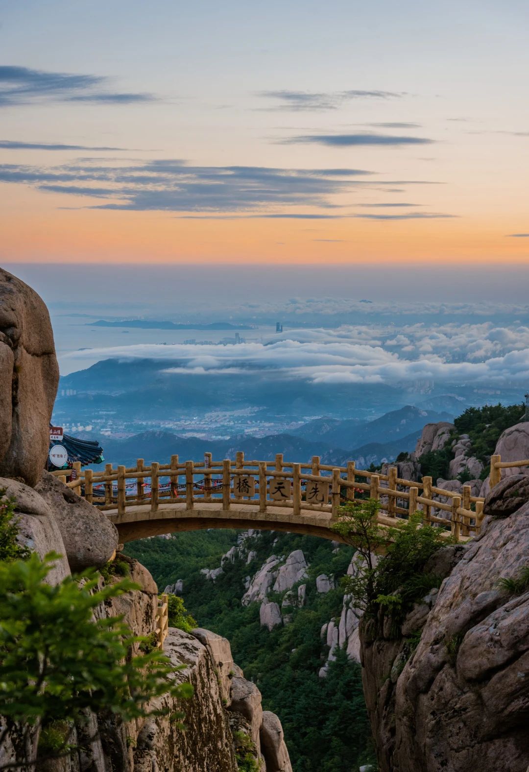 市文化和旅游局(图4)